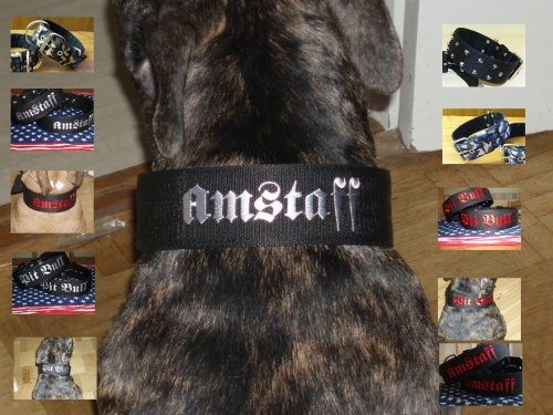 halsband